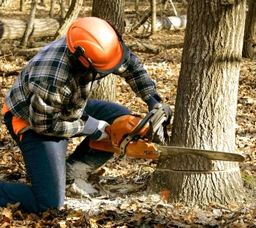Tree Removal in Hennessey, OK